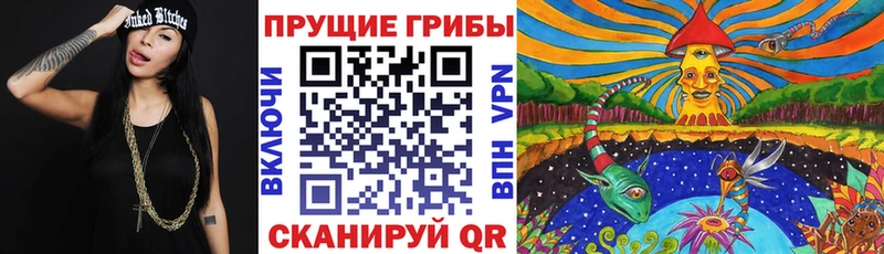 Купить закладки  Остров  Псилоцибиновые грибы ЛСД 